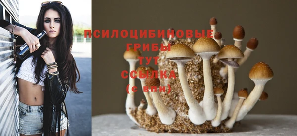 мет Богданович