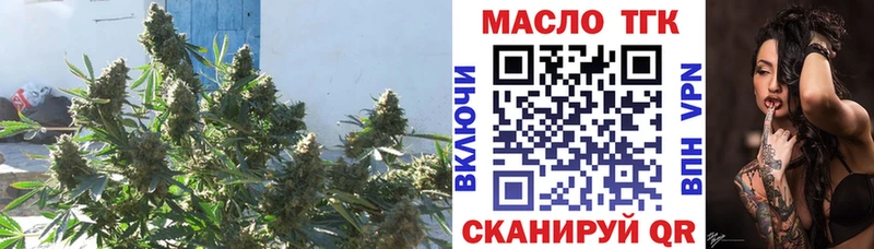 hydra сайт  Вилюйск  Дистиллят ТГК THC oil 
