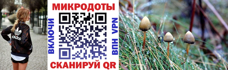 Псилоцибиновые грибы Psilocybine cubensis  магазин продажи   сайты даркнета как зайти  Вилюйск 